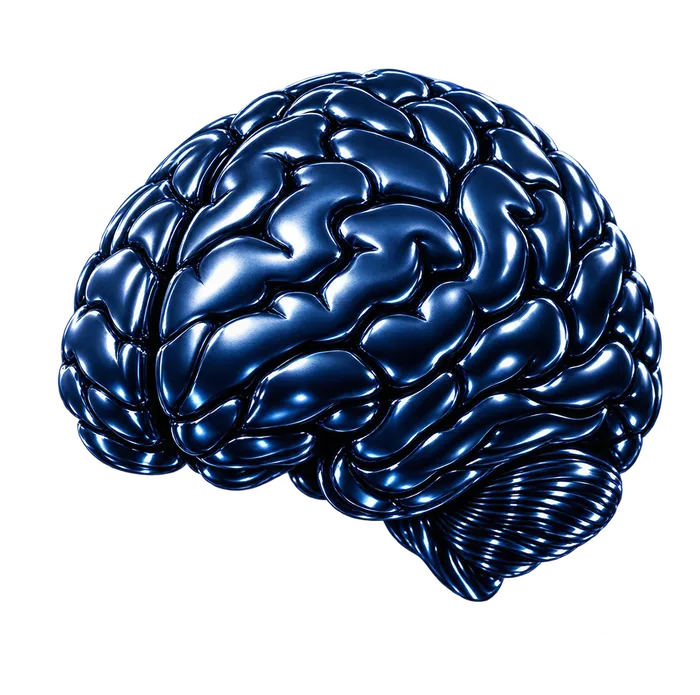 The Brain, the system that holds what a business knows.